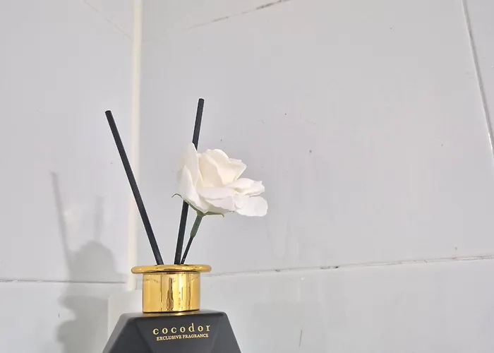 홍대5분 방3개 침대4개 최대8명 1층 장기숙박 연남망원 Tv Wifi 조용한숙소 * ソウル特別市